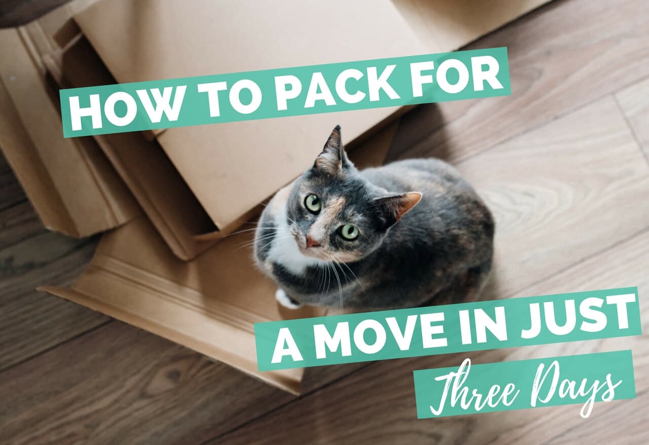 Last Minute Moving Guidelines - Move in Just 3 Days